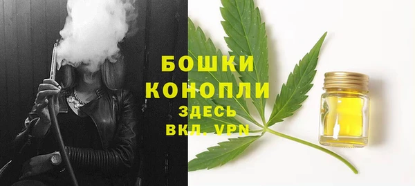 apvp Рославль